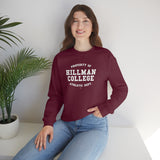 Hillman College: Unisex Heavy Blend™ Sweatshirt