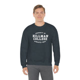 Hillman College: Unisex Heavy Blend™ Sweatshirt