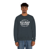 Hillman College: Unisex Heavy Blend™ Sweatshirt