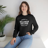 Hillman College: Unisex Heavy Blend™ Sweatshirt